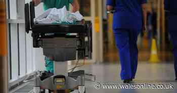 Everything we know about NHS listeria outbreak that has killed patients