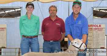 If the price is right - stud receives an offer to sell champion ram