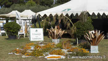 Primavera alla Landriana: il grande ritorno della mostra mercato di giardinaggio