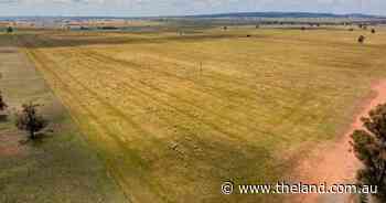 Strategically located, three property Riverina aggregation on the market