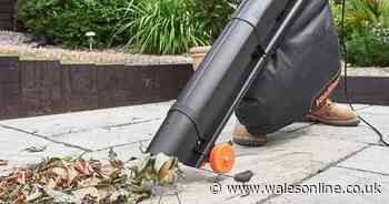 Shoppers hail leaf vacuum for fixing up gardens that's 'so good it's hilarious'