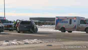 Saskatoon population growth sees increased collision risk