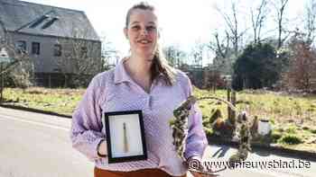 Verlies van twee paarden inspireert Megan Venter om creaties te maken met paardenhaar: “Een tastbare herinnering”