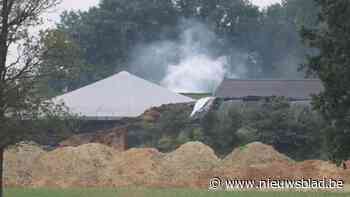 Helft Limburgse landbouwbedrijven heeft nog stallen met asbestdaken