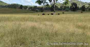 Superbly watered Mount Stanley boasts river frontages, productive pastures