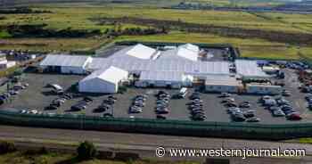 Trump's Crackdown Works: CBP Confirms 'Unprecedented Drop' and Multiple Closures