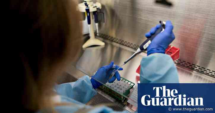 US agriculture department announces $100m in funding for bird flu vaccine research