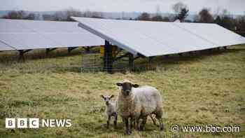 Proposed solar farms 'could power 29,000 homes'