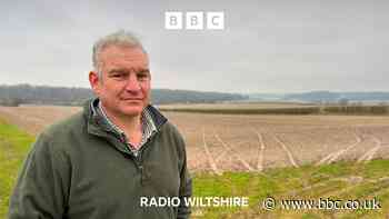 Wiltshire farmers fear hare coursing crime gangs