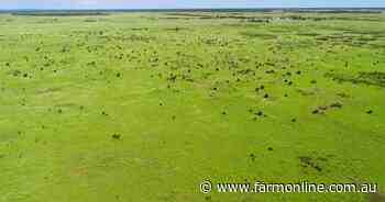 Outstanding 20,690 acre cattle property Cargara sold at strong auction