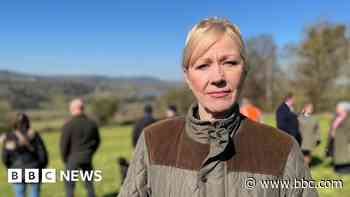 Pylon compensation is a joke, say residents