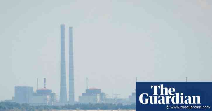 Trump’s demand that US could take over Ukraine’s reactors is not credible