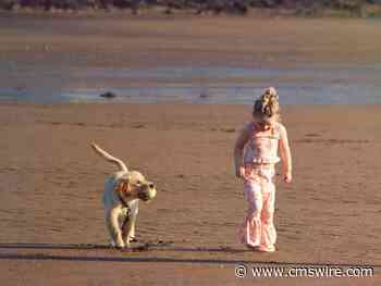 Meet Your Brand’s New BFF: The Brand LLM