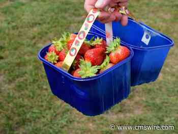 Marketing Teams Are Bringing Their Own AI—And It’s Changing Everything