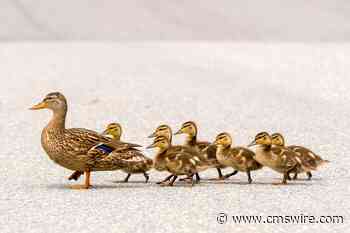 AI Is Reshaping CX Training. If You're Not Paying Attention, You're Already Behind