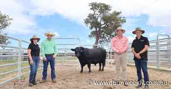 Second on-property sale for Balamara Angus was a good one - no bull!