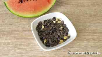 Snack-Artikel von Rückruf betroffen - Krebserregender Inhaltsstoff nachgewiesen