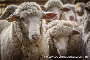 Opinion: Trump may tax us with tariffs