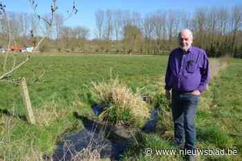 Nieuw plan legt spelregels voor beheer van bermen vast, maar stuit op kritiek: “Het staat vol fouten”