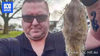 Bin strike sparks 'rats the size of cats' warning in UK's second-biggest city