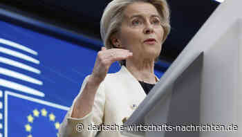 Spar- und Investitionsunion (SIU): Enteignung durch die EU oder Chance für europäische Sparer?