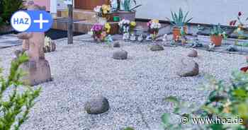 Schottergärten gar nicht mehr kontrollieren: Darf Hannover das?