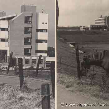 Reünie oud-leerlingen Lagere Land en Tuinbouwschool examenjaren 1979, 1980 en 1981