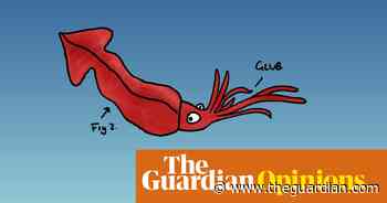 Invertebrates! Everyone loves invertebrates! Which is your favourite? | First Dog on the Moon