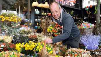 Knappheit bei Tulpen treibt den Preis
