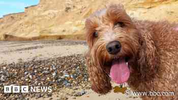 In pictures: The East gets a taste of spring