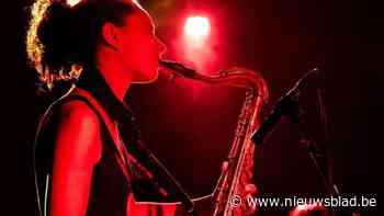 Drie concertnamiddagen op zondag: Schouwburg De Kern organiseert opnieuw Sund.Aft