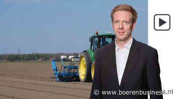 De zon schijnt in meerdere opzichten voor de uien