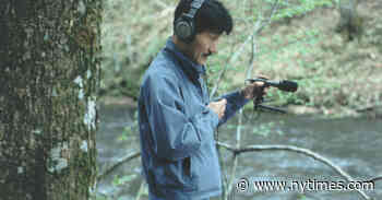 Hiroshi Yoshimura’s Environmental Music Is Enchanting a New Generation