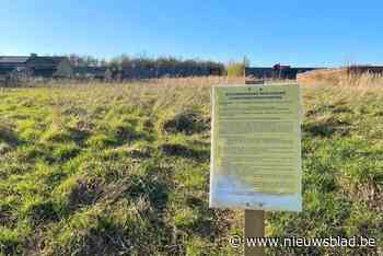 Gemeenteraad wijst wegenistracé Mierendreef opnieuw af: “Er moet een oplossing komen”