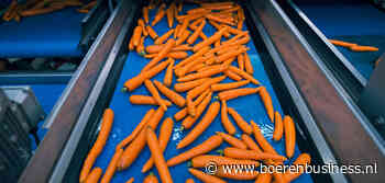 Gaat paasvraag peen een zetje geven?