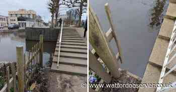 'Incredibly distressing discovery' as four puppies found dead in river