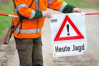 Im Warburger Wald: Polizist aus Paderborn schießt auf Jäger