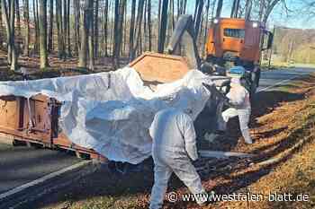 Umweltsauerei in Herford: Eine Tonne Asbest im Wald abgeladen