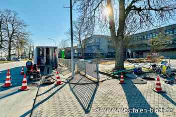 Wurzeln blockieren Abwasserkanal