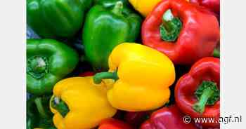 "Prijzen Spaanse paprika's gestegen"