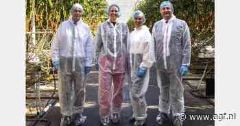 Eurocommissaris in stropdas met tractorpatroon de tomatenkas in