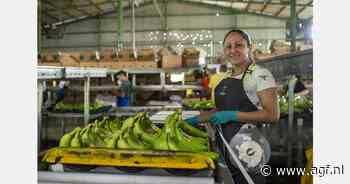 Costa Ricaanse universiteit is ook bananenteler
