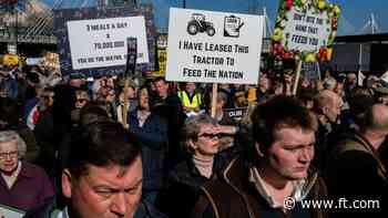 Spring Statement will lay bare impending policy trade-offs