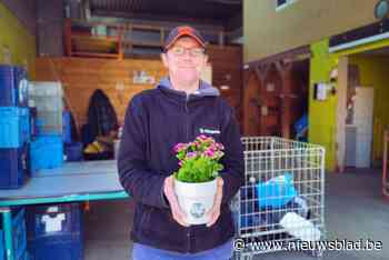Kringwinkel zet ‘gulle gevers’ in de bloemen: “Jaarlijks brengen ze 3.000 ton spullen binnen”