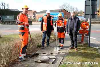 Nog veel werk om te ontharden, maar jij kan helpen: “Voetpaden in rustige straten uitbreken voor graskant”