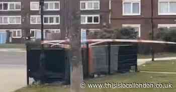 Man dies after being shot in the head in Tottenham
