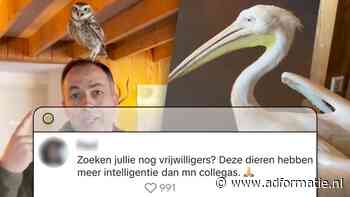 Roofvogelboerderij geeft kijkje achter de schermen en krijgt veel pluimen