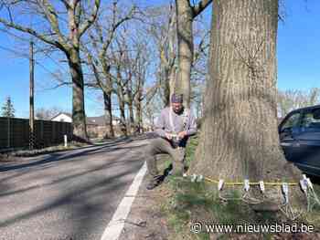 Kinrooi wil “levensgevaarlijke” weg aanpakken: “Kost een half miljoen, maar dat hebben we er voor over”