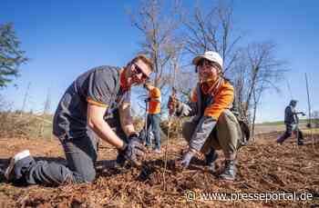 OBI Azubis packen an: 1.000 neue Bäume für die Eifel