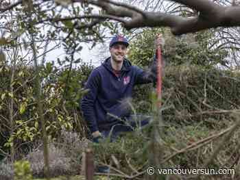 'We do edible': Plants you can eat is the focus of this east Vancouver landscaping company